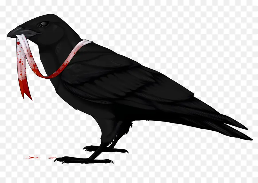 Les Corbeaux Logo，L'oiseau Noir PNG