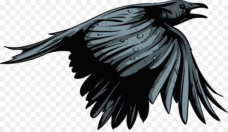 Les Corbeaux Logo，Raven PNG