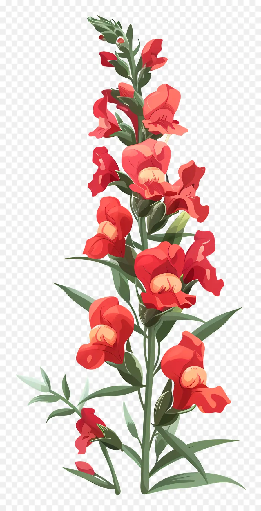 Snapdragon Fleur，Fleur Rouge PNG