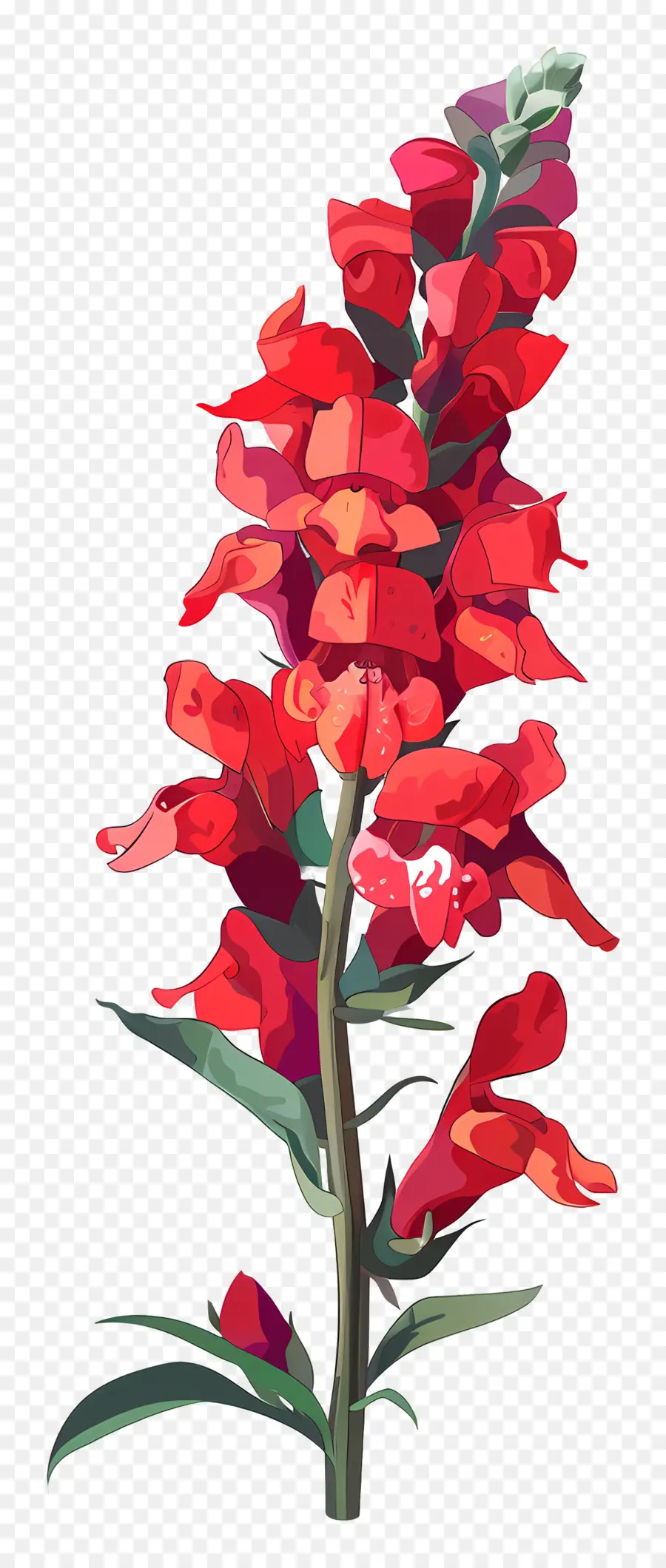Snapdragon Fleur，Fleur Rouge PNG