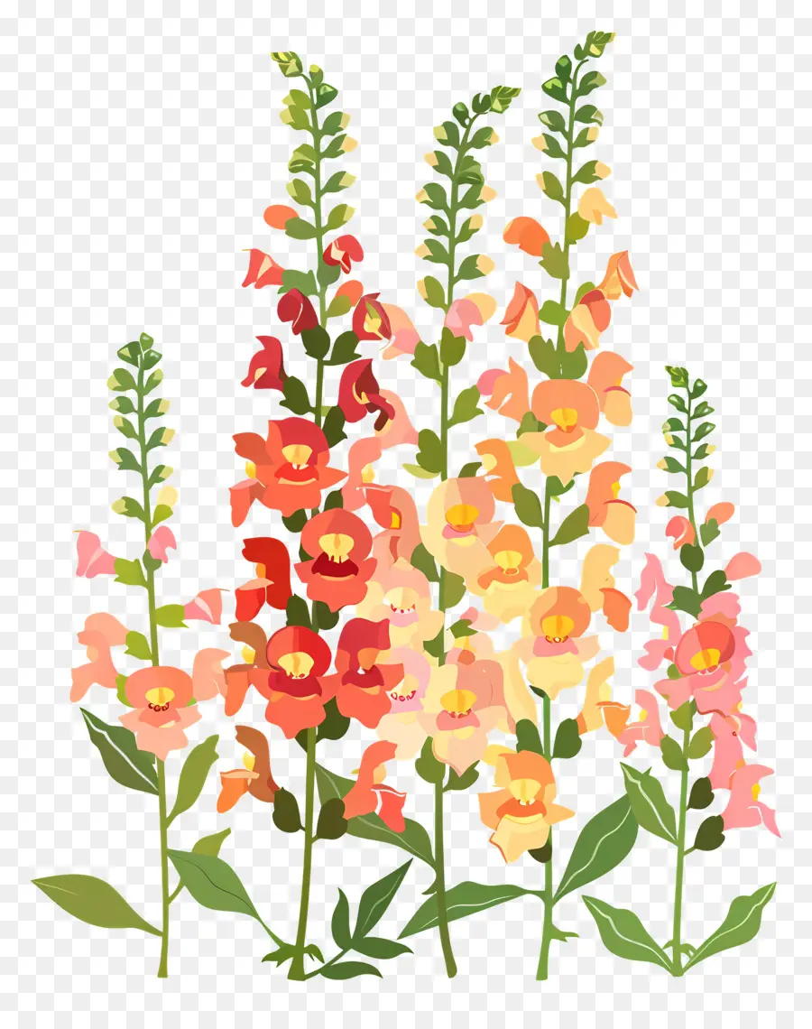 Snapdragon Fleur，Des Fleurs D'orange PNG