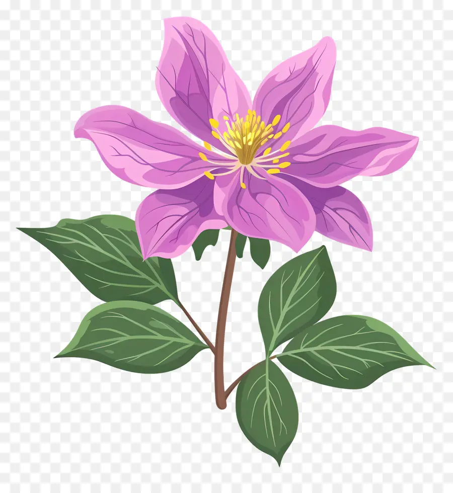 Fleur D'État De L'alaska，Fleur Pourpre PNG