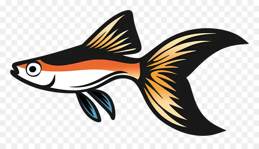 Guppy，Poisson Orange Et Blanc PNG