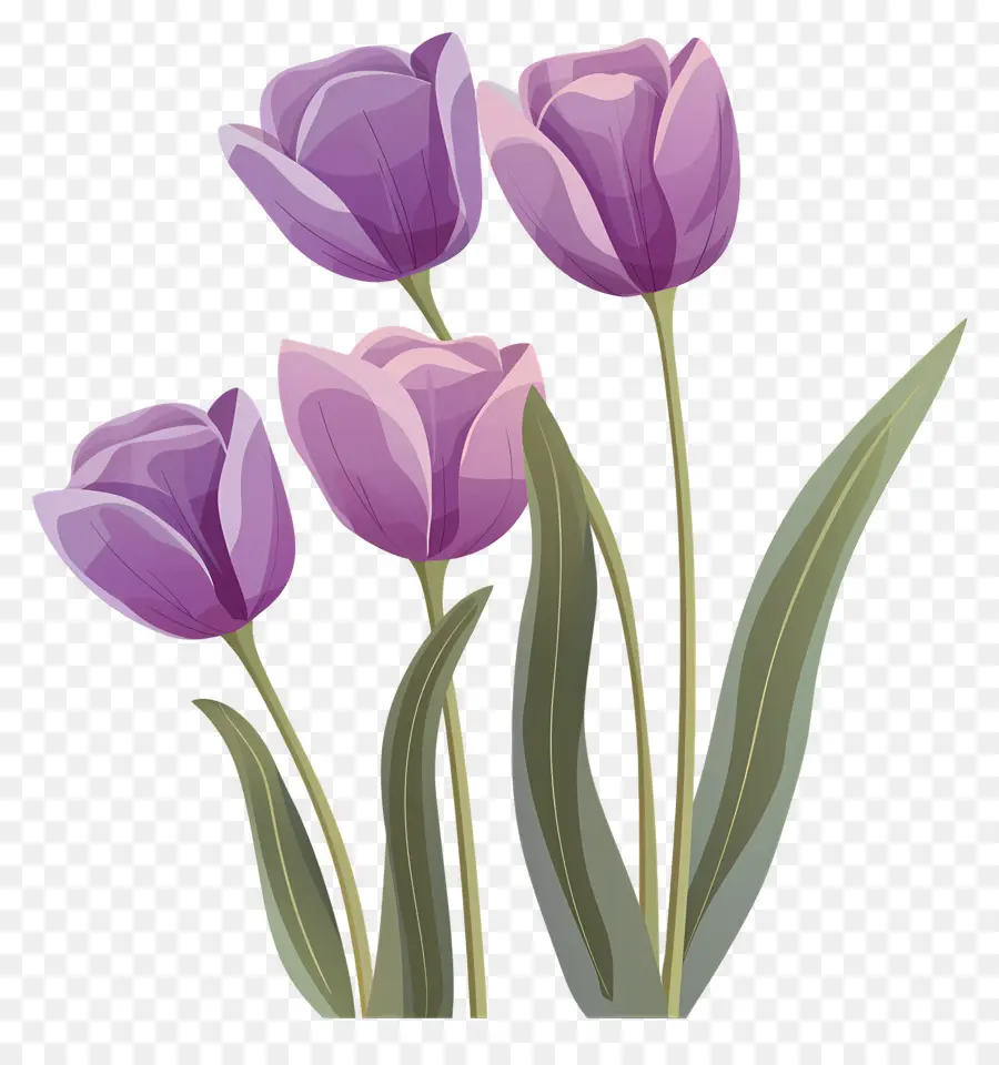 Violet Tulipes，Vase PNG