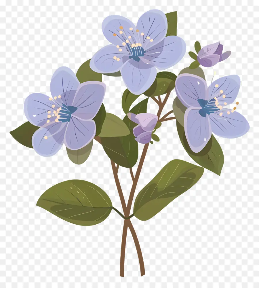 Fleur D'État De L'alaska，Fleur Bleue PNG
