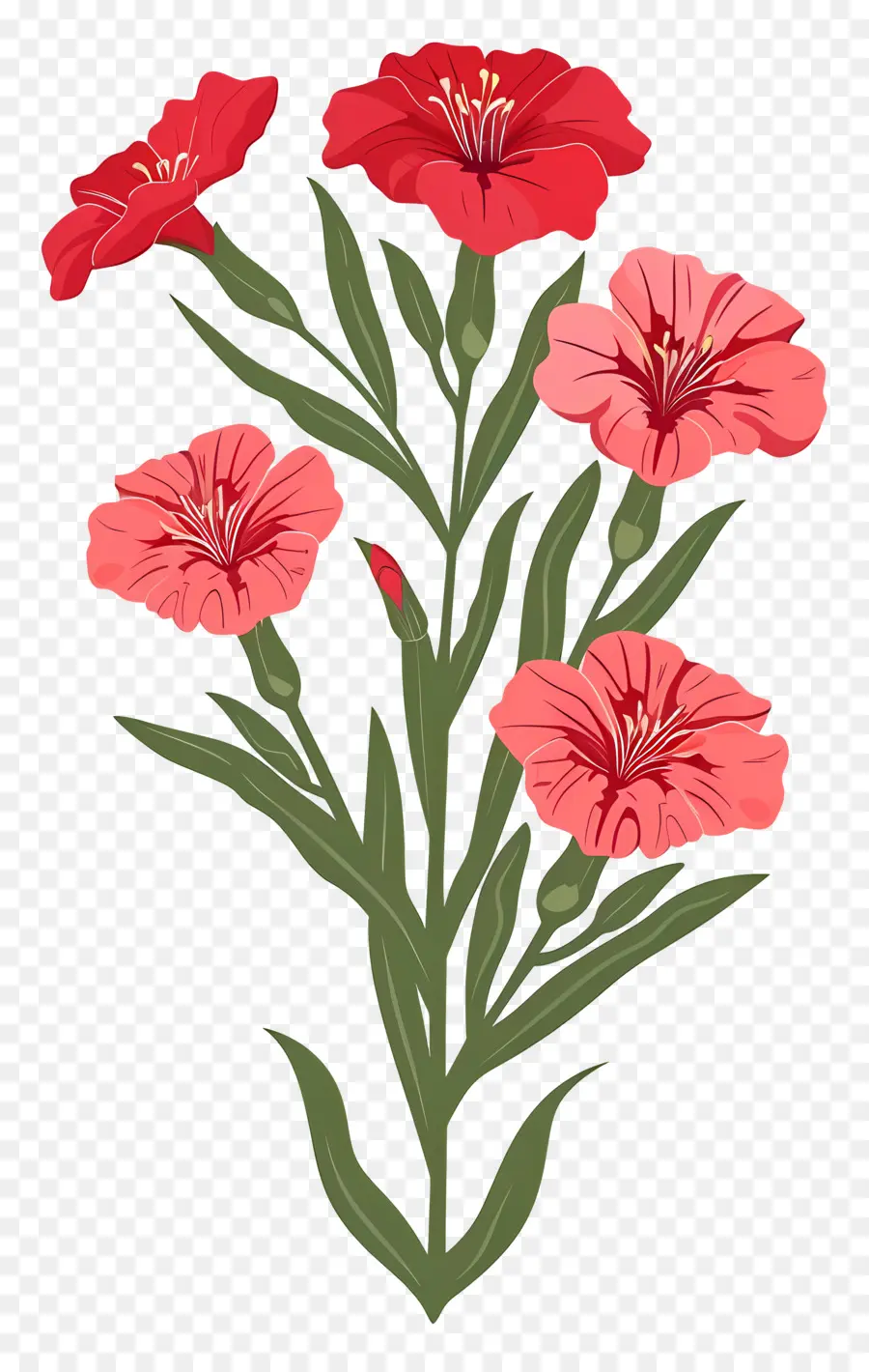 Fleur De Dianthus，Fleurs Roses PNG
