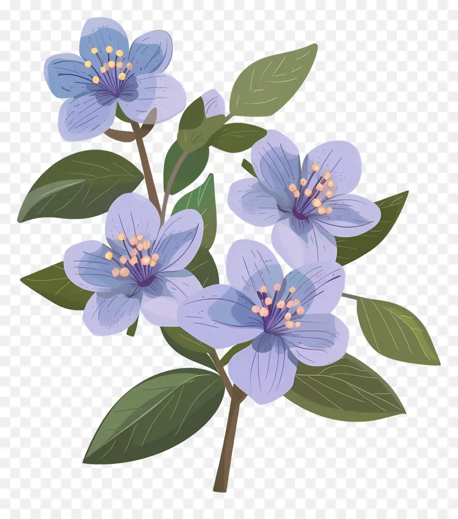 Fleur D'État De L'alaska，Fleurs Bleues PNG