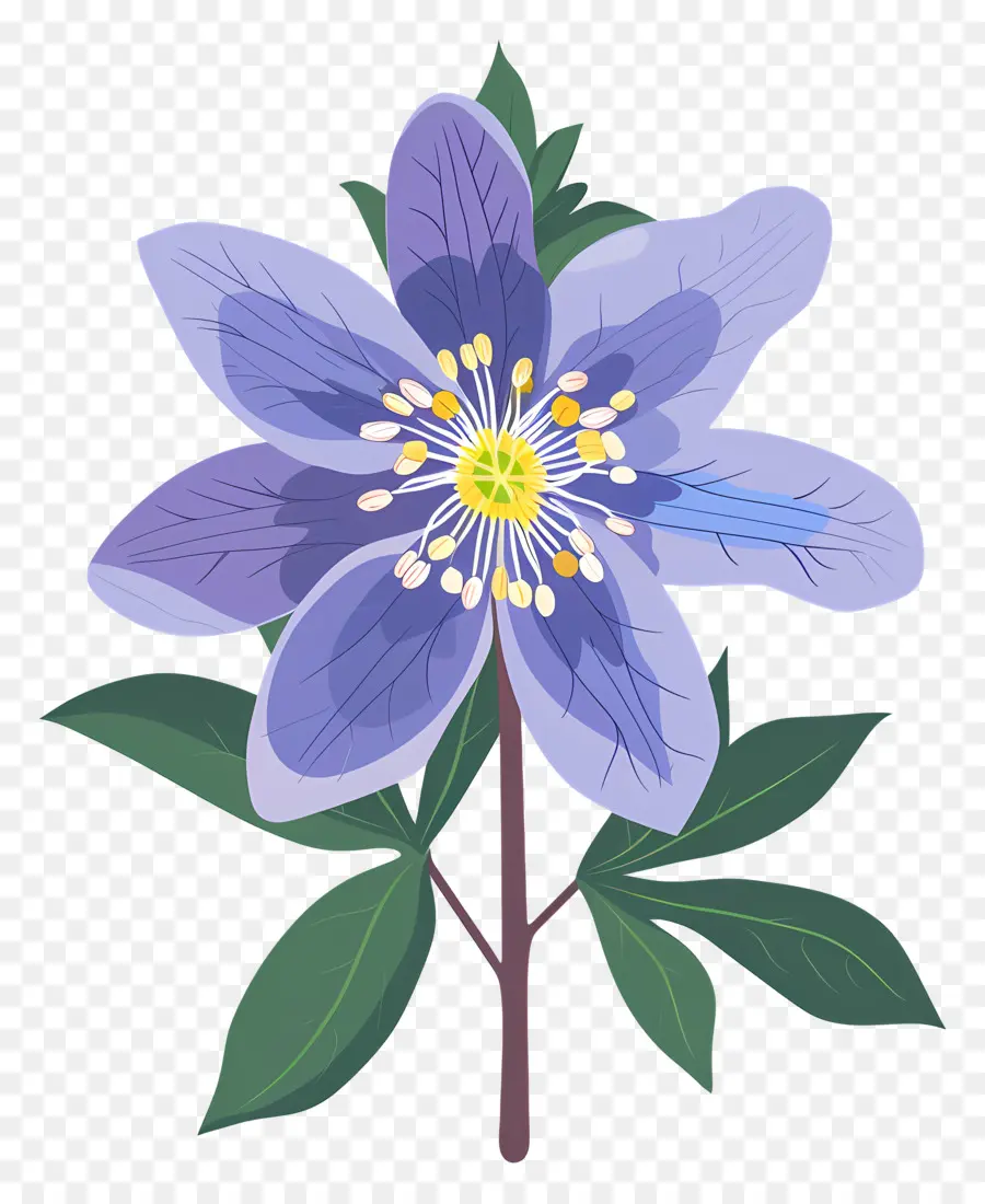 Fleur D'État De L'alaska，Lilas Fleur PNG