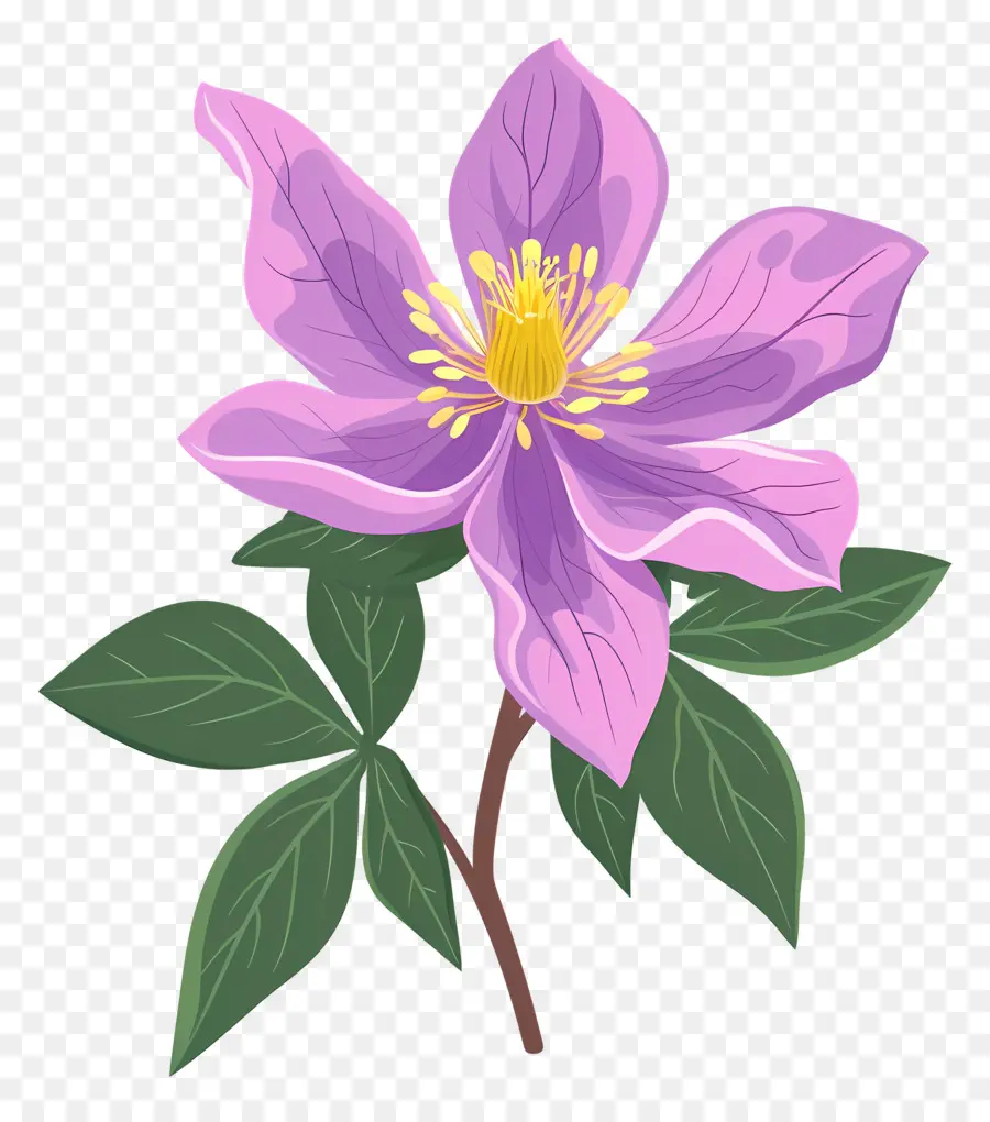 Fleur D'État De L'alaska，Fleur Pourpre PNG