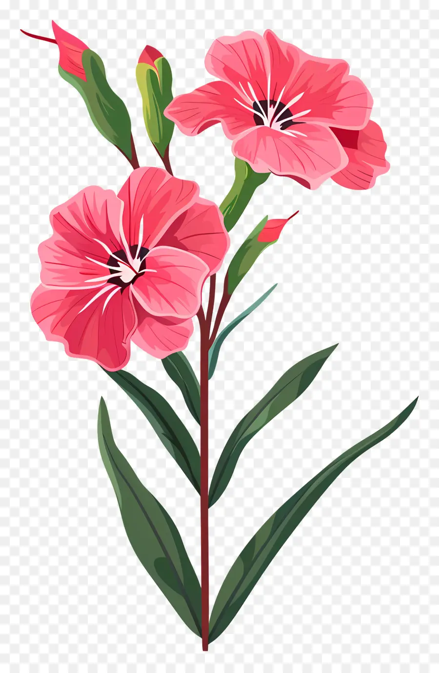 Fleur De Dianthus，Fleur Rose PNG