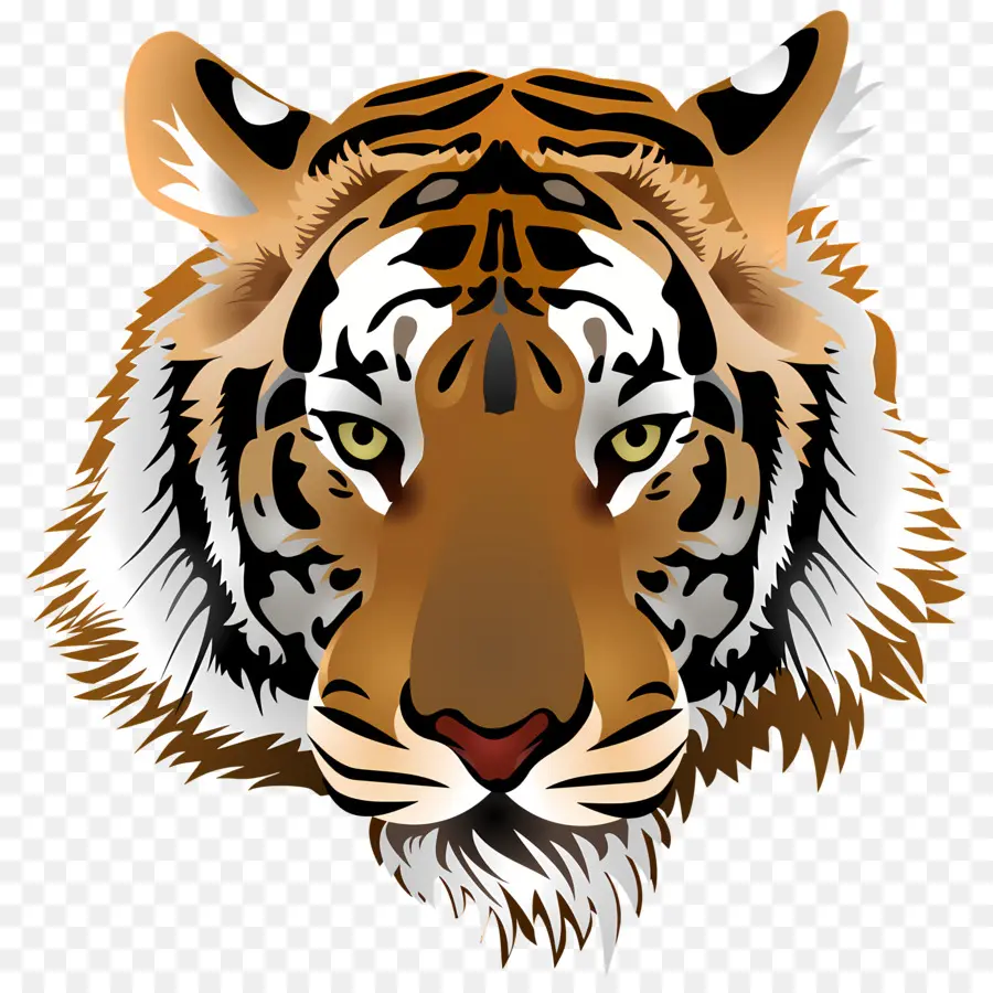 Logo De Tigre，Tigre PNG