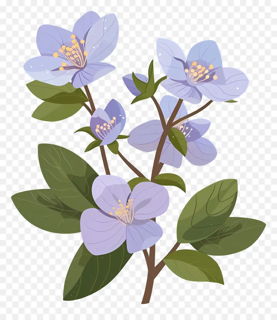 Fleur De L'État De L'alaska，Fleurs Bleues PNG