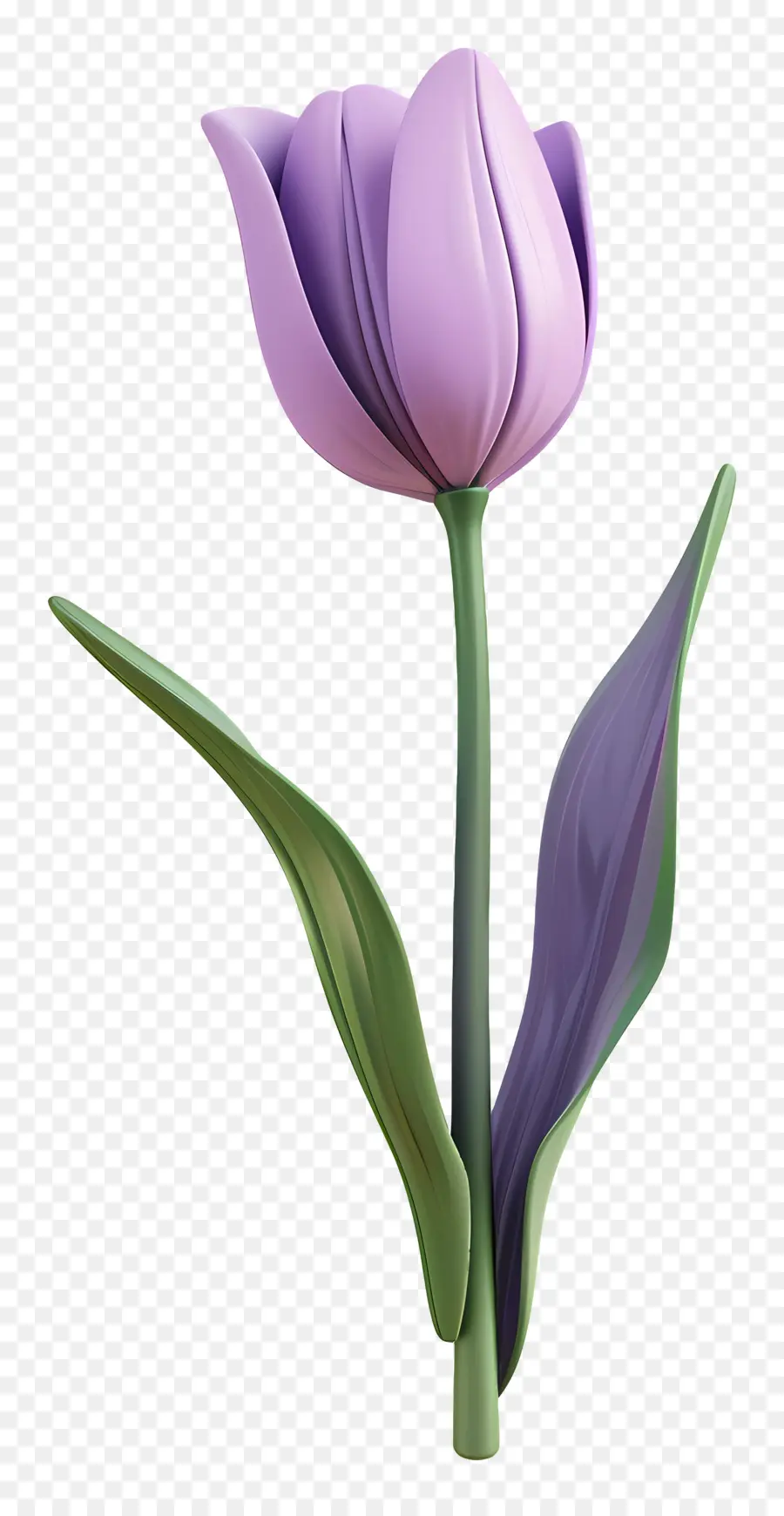 Violet Tulip，Fleur PNG