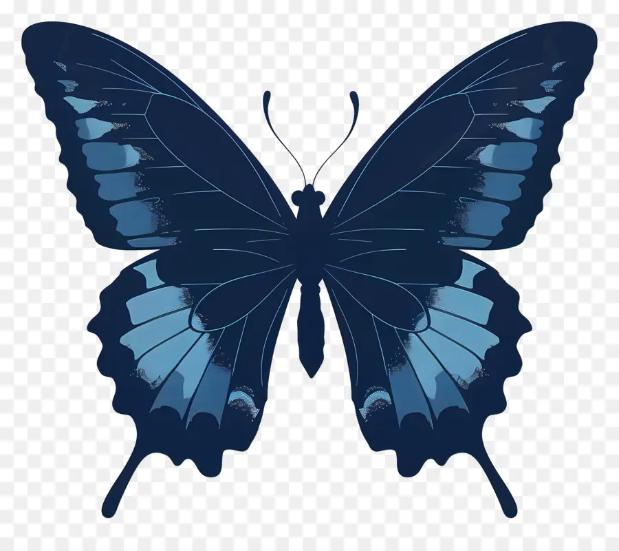 Papillon Silhouette，Papillon Bleu PNG