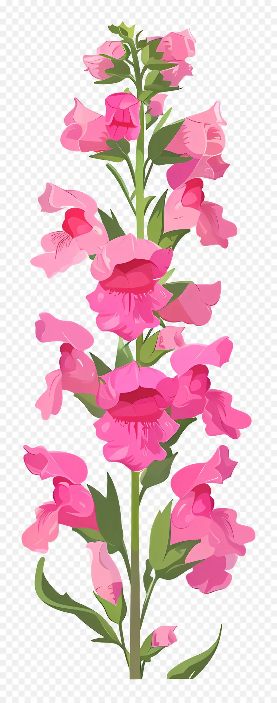 Snapdragon Fleur，Fleur Rose PNG