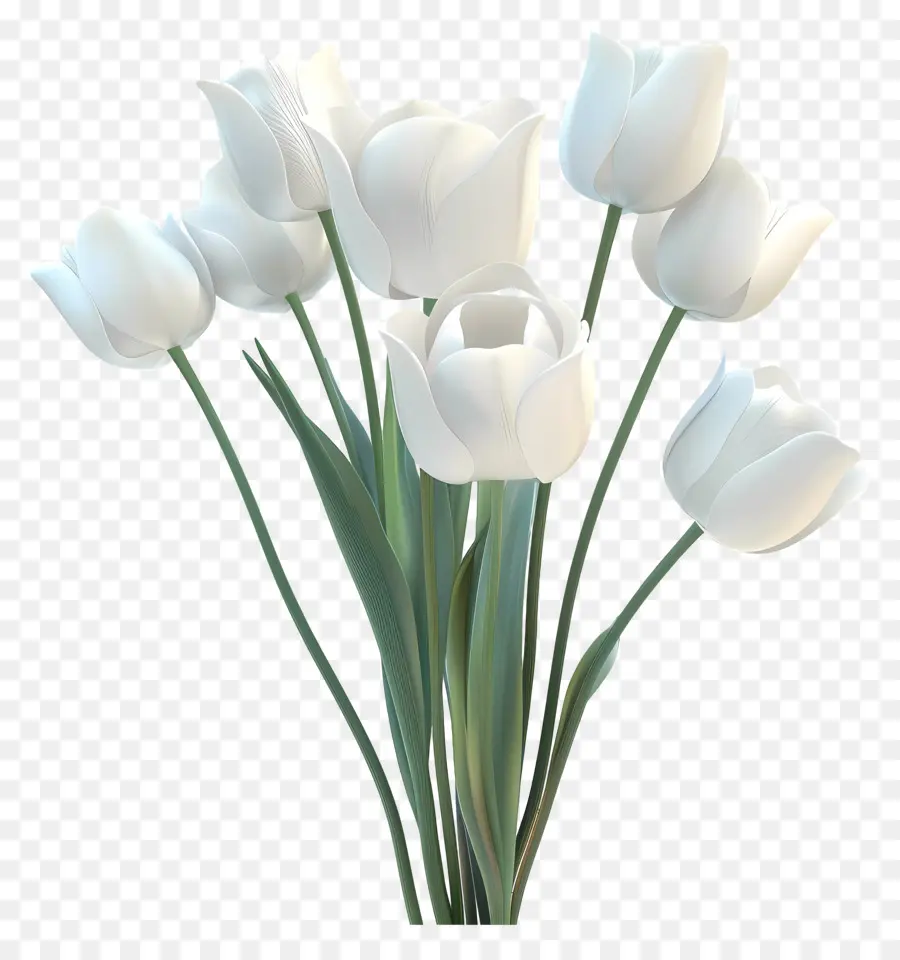 Blanc Tulipes，Bouquet PNG