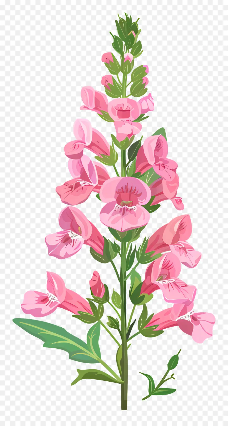 Snapdragon Fleur，Fleur Rose PNG