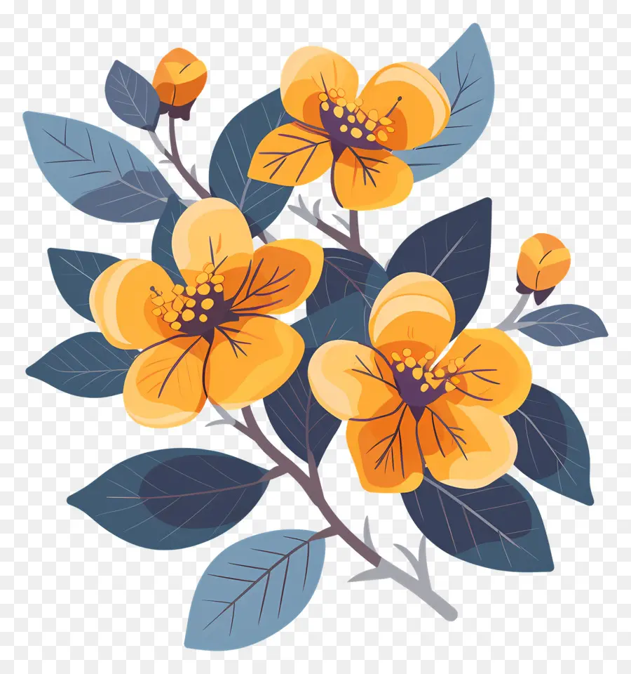 Fleur De L'État De L'alaska，Fleurs PNG
