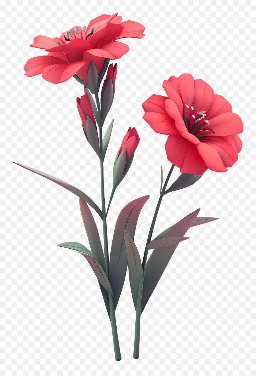 Fleur De Dianthus，Rendu 3d PNG