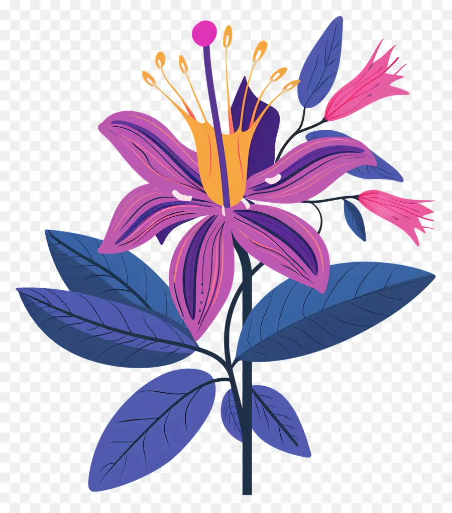 Fleur De L'État De L'alaska，Fleur PNG
