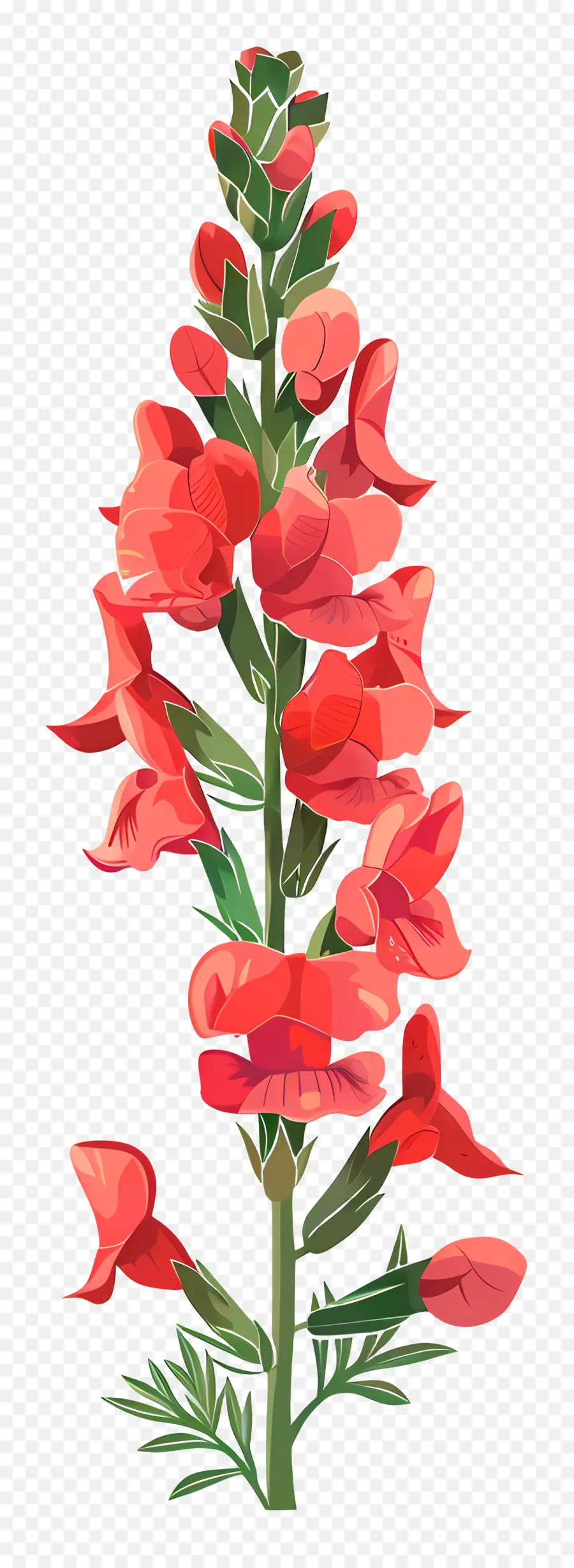 Snapdragon Fleur，Lupin Rouge PNG
