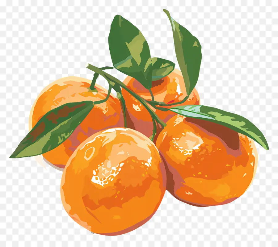 Clémentines，Oranges PNG