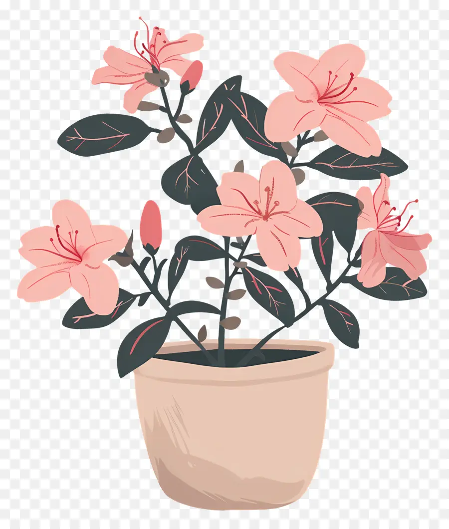 Plante Azalea，Pot De Fleur PNG