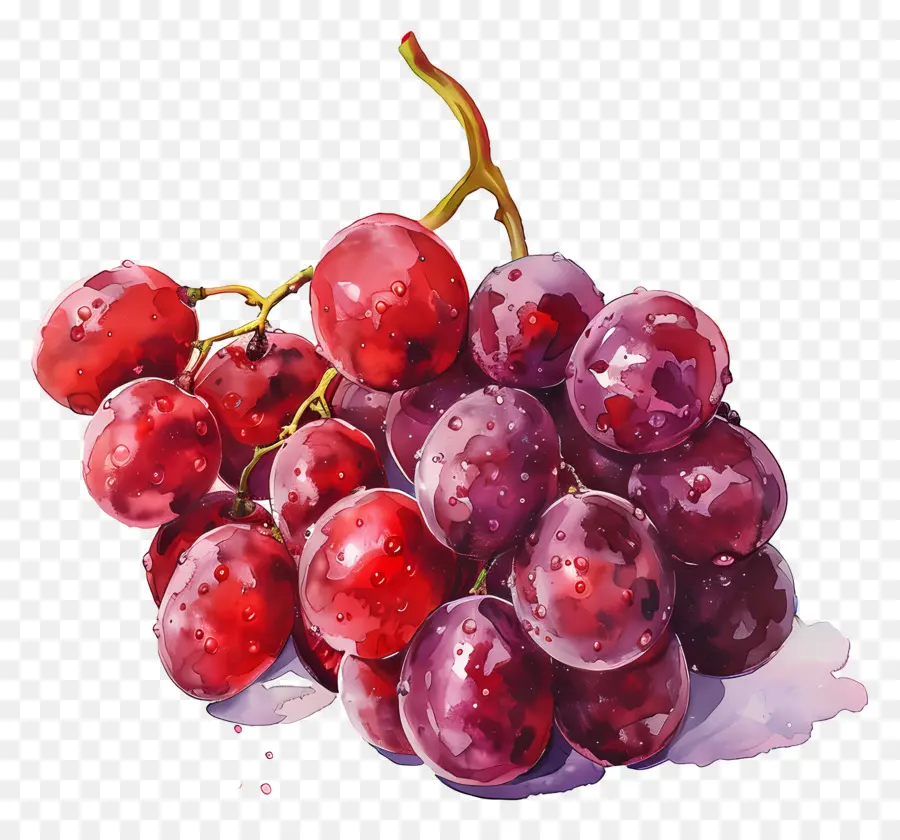 Raisins Rouges，Raisins PNG