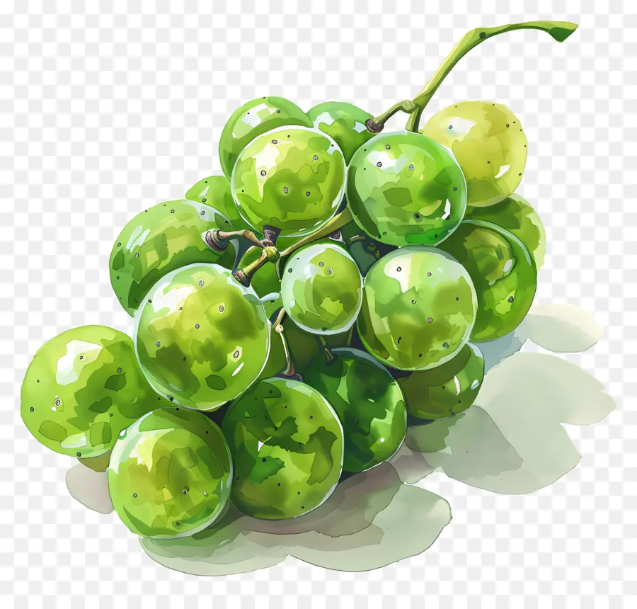 Raisins Verts，Bouquet PNG