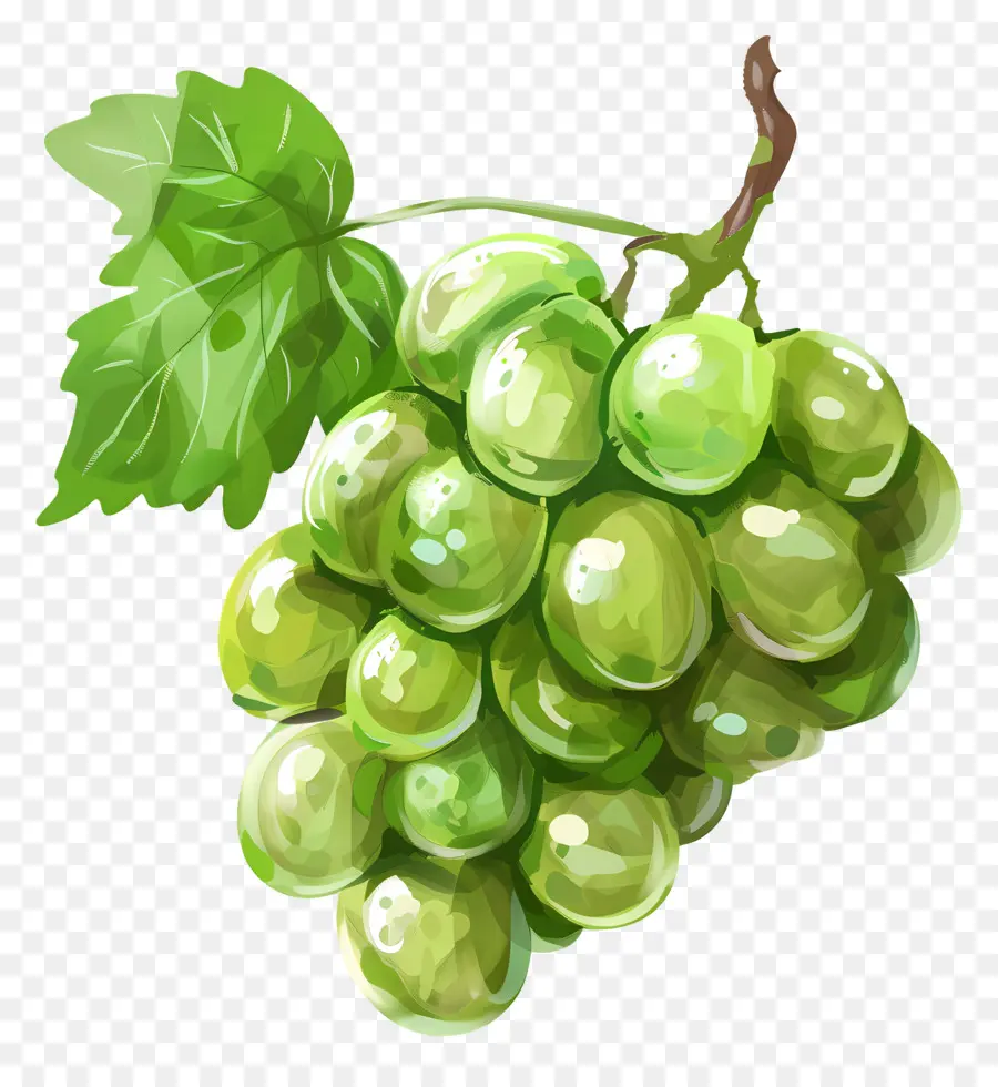 Raisins Verts，La Pomme Verte PNG