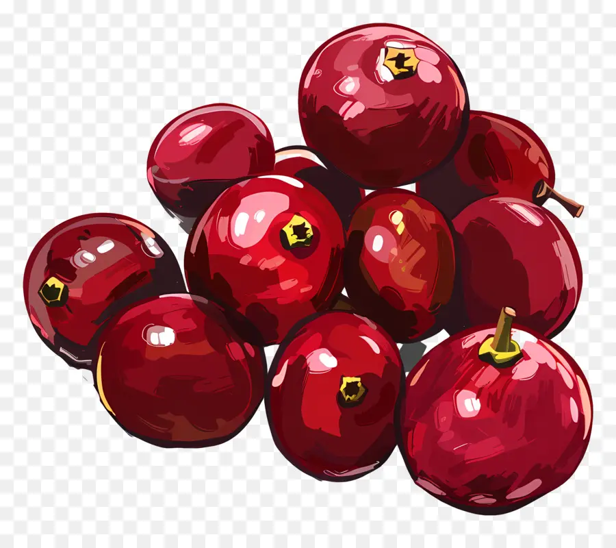 Canneberges，Fruits Rouges PNG