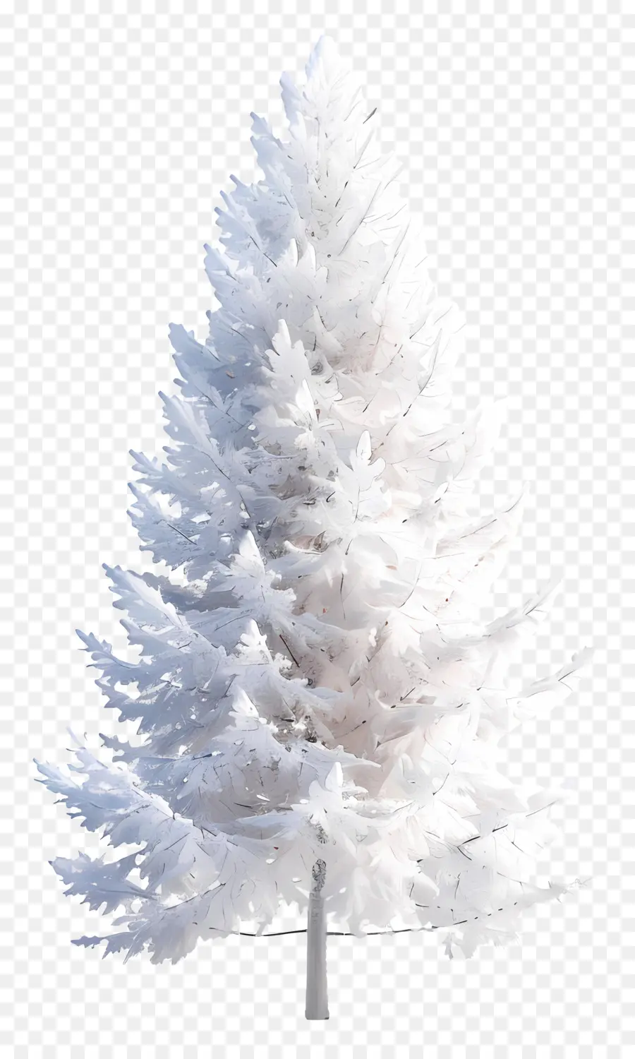 Pin Blanc，Arbre De Noël Blanc PNG