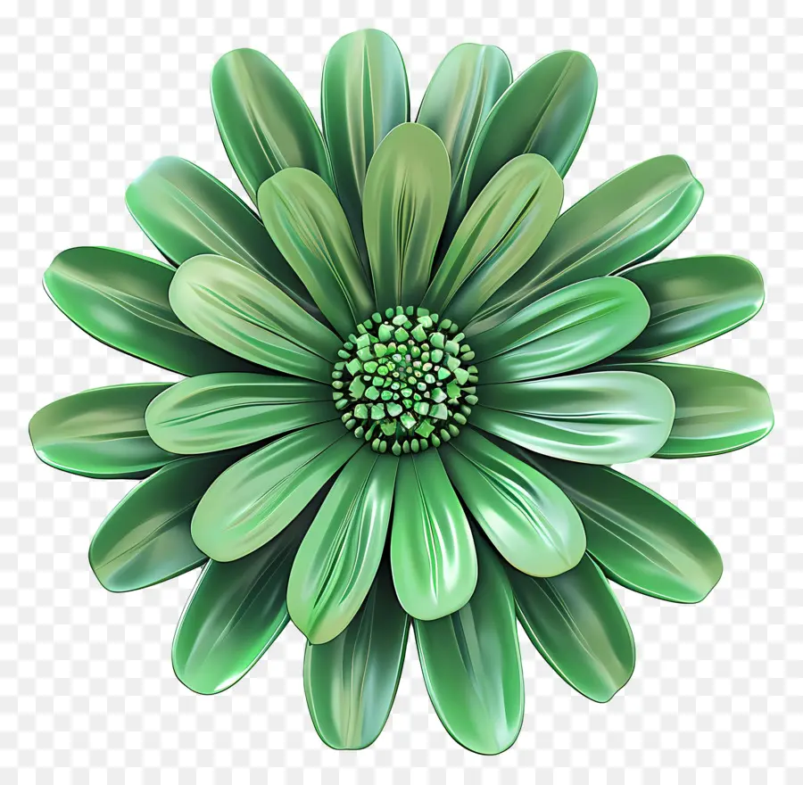 Marguerite Du Transvaal，Fleur Verte PNG