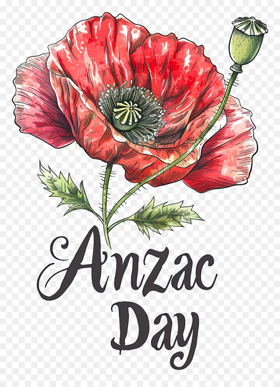 L'anzac Day，L'australie PNG