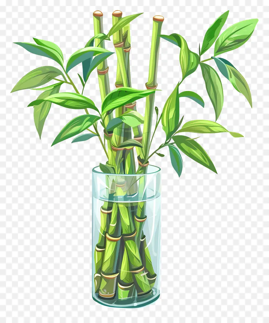 Lucky Bambou，Vase En Verre Transparent PNG