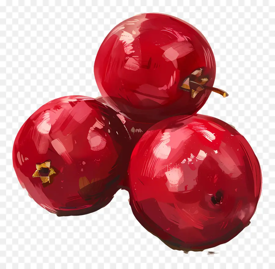 Canneberges，Les Raisins Rouges PNG