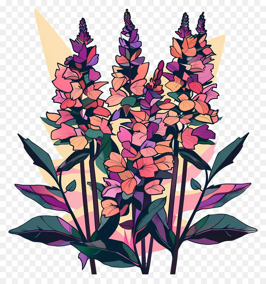 Salvia，Fleurs PNG