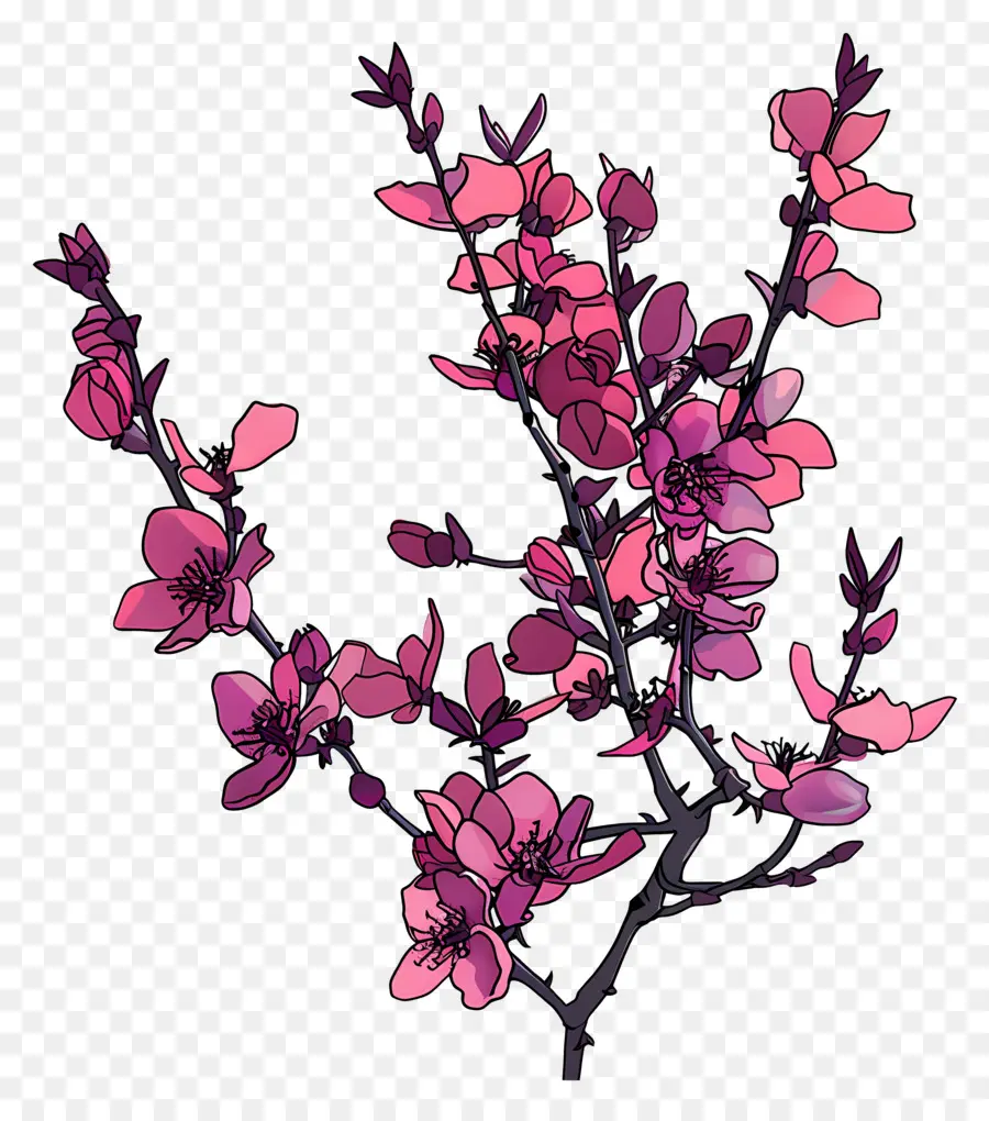 Chinois Redbud，Fleurs Roses PNG