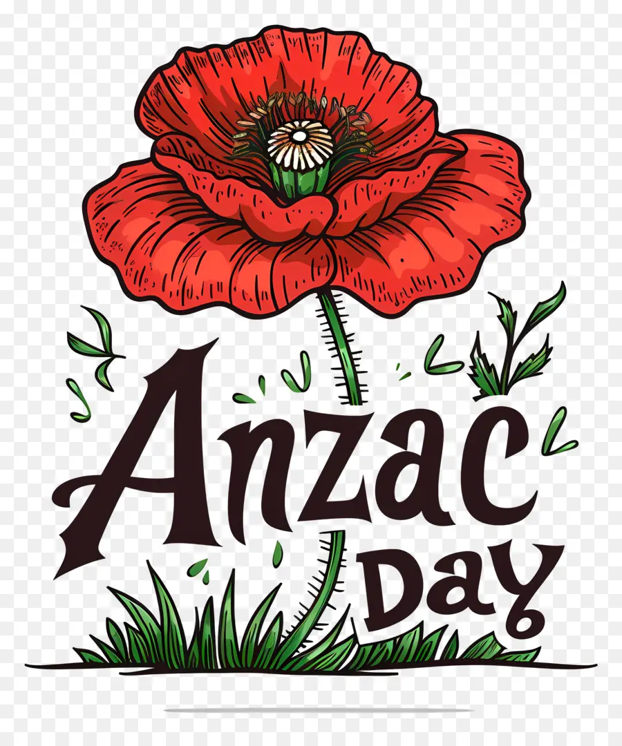 Journée Anzac，Coquelicot De L'anzac Day PNG