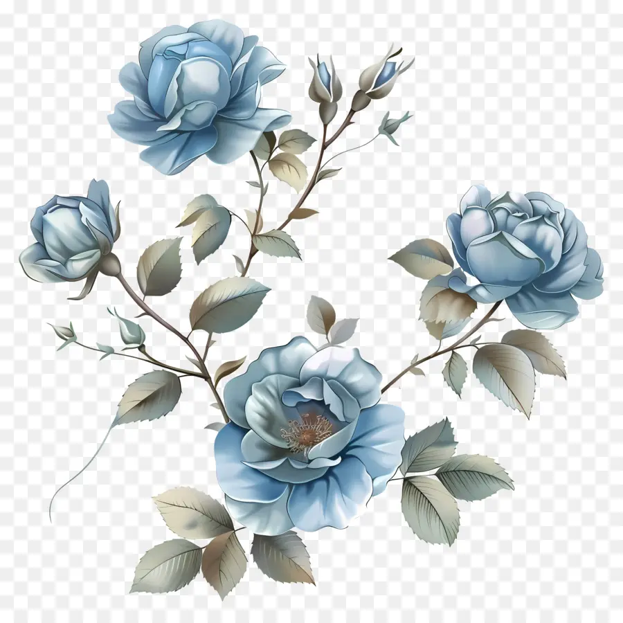 Rose Bleue，Roses Bleues PNG