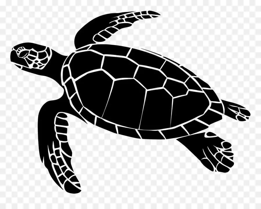 Tortue Silhouette，Tortue PNG
