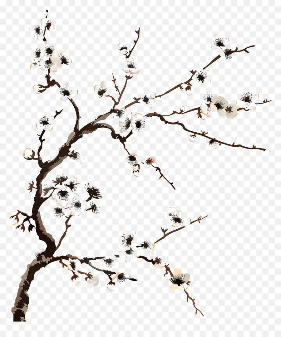 Branche De Cerisier En Fleurs，Branche D'arbre à Fleurs PNG