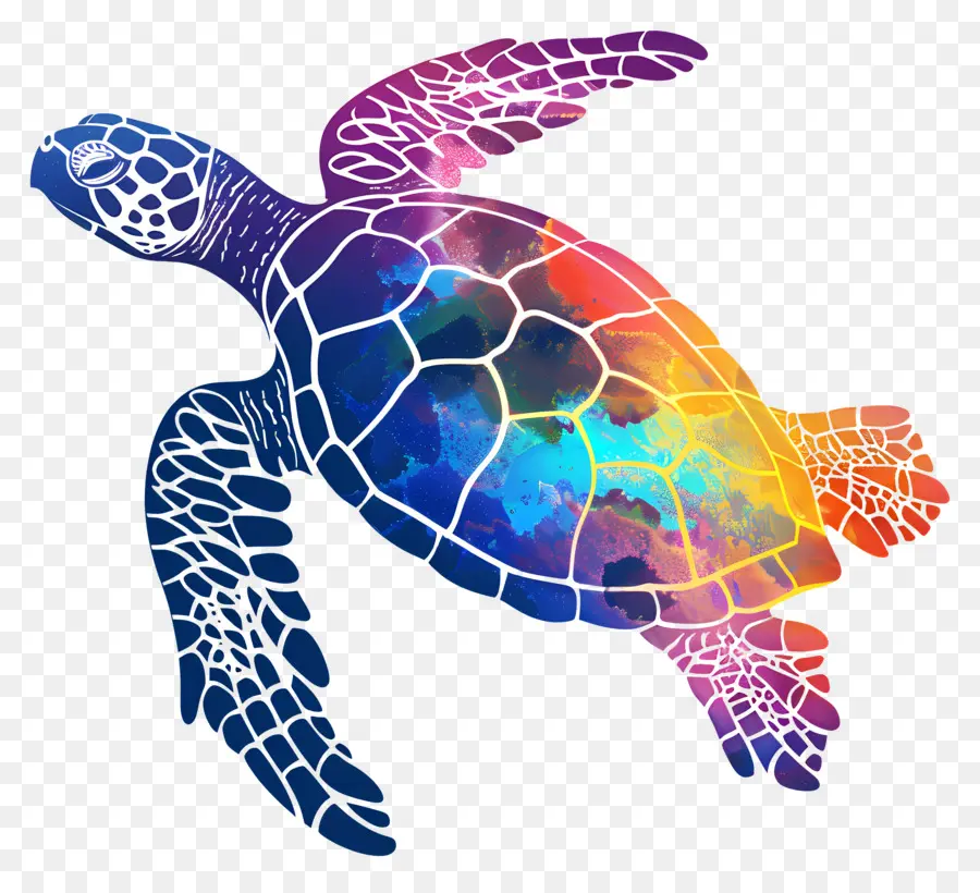 Tortue Silhouette，Tortue PNG