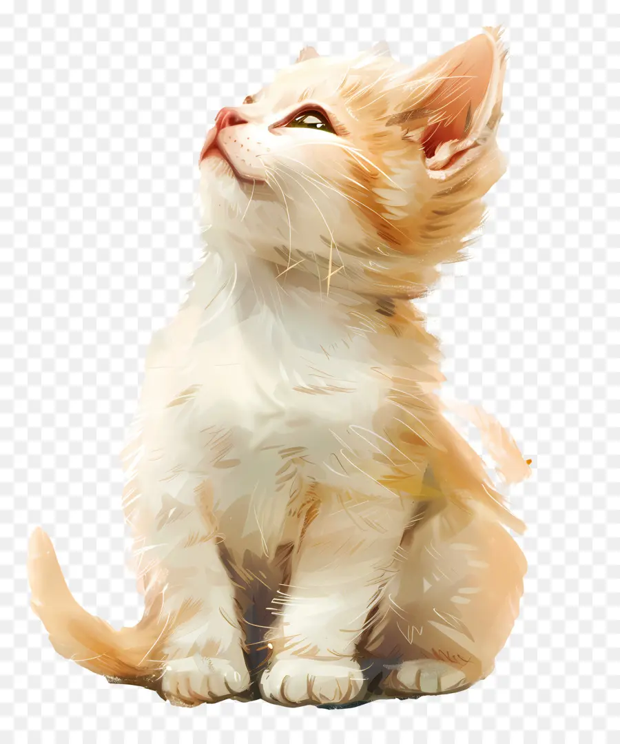 Chat Blanc，Fourrure PNG