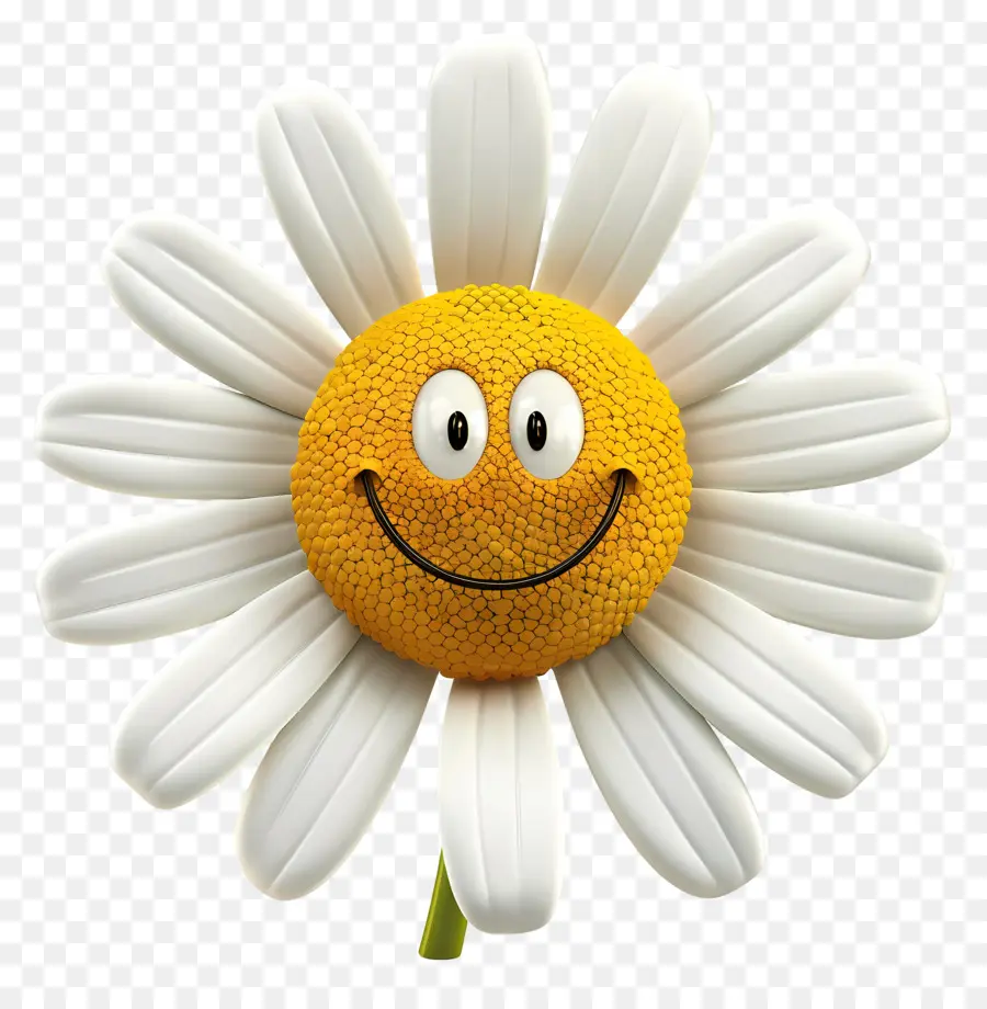 Fleurs De Dessins Animés 3d，Daisy PNG