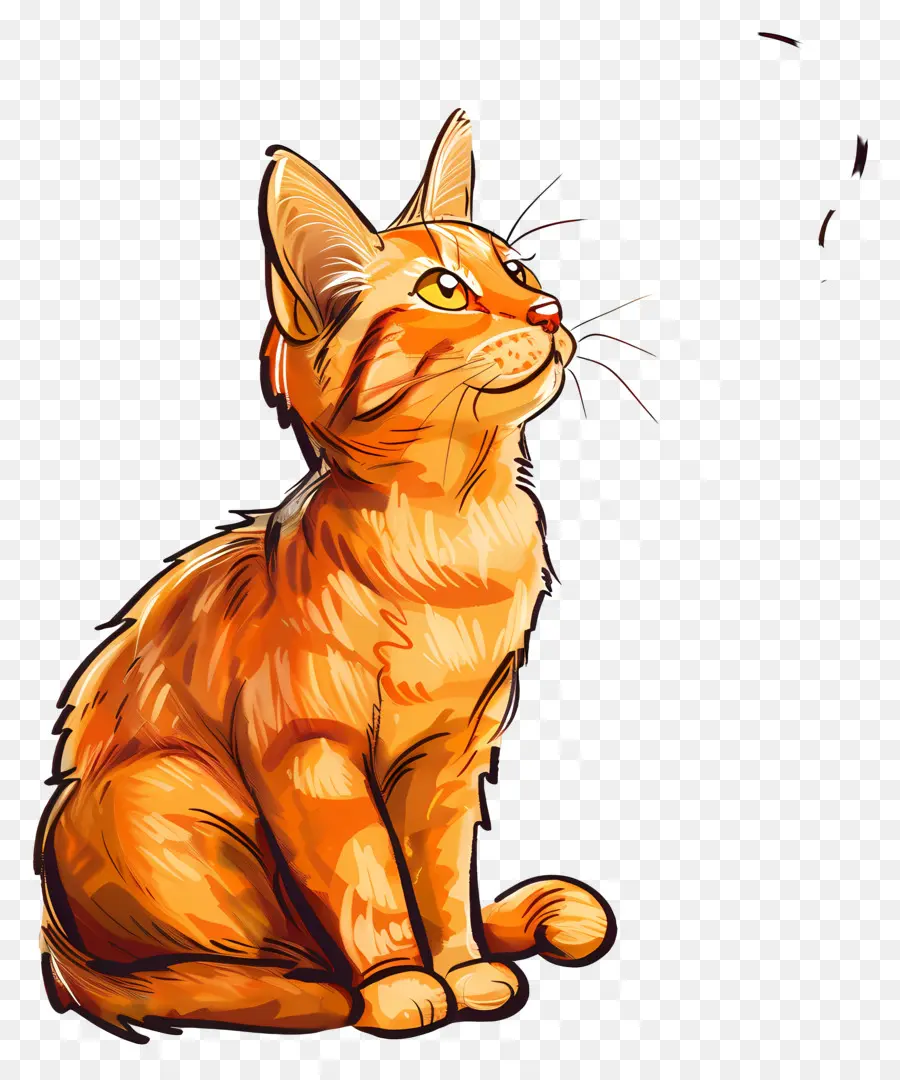 Chat Mignon，Red Tabby Chat PNG