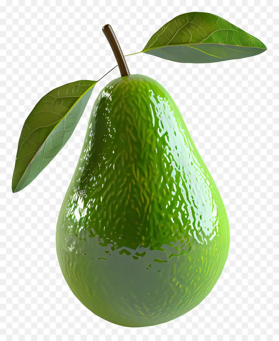 L'avocat，Poire Mûre PNG