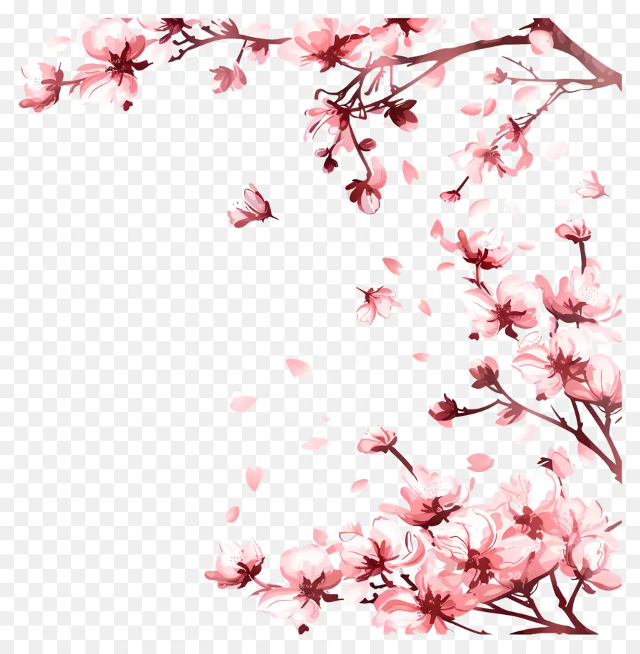 Fleurir Sakura De Printemps，Fleur De Cerisier PNG