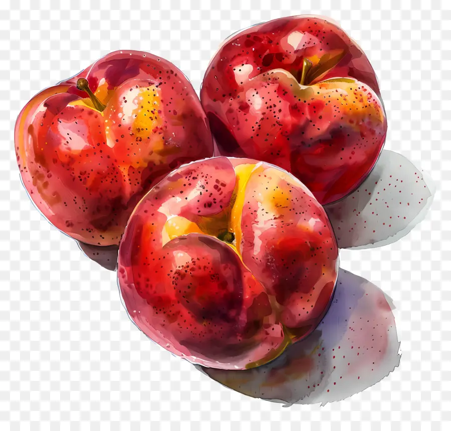 Nectarines，Prunes PNG