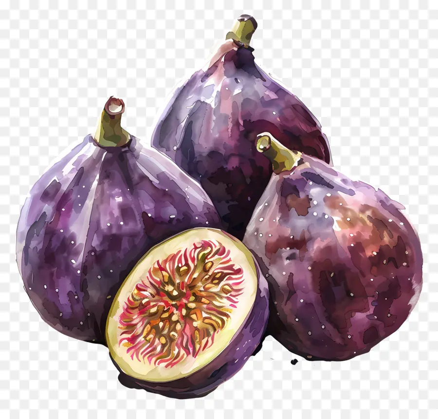 Figues，Peinture à L'aquarelle PNG